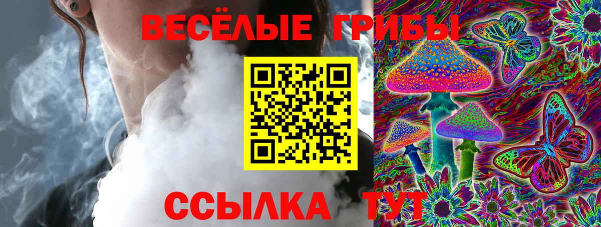 Псилоцибиновые грибы MAGIC MUSHROOMS Елец