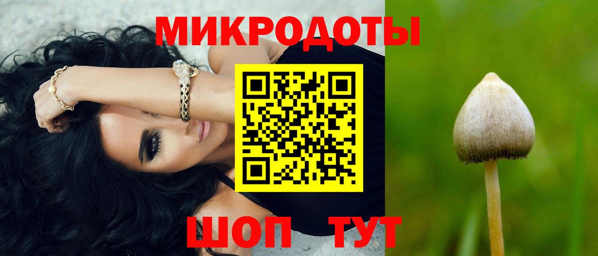 Елец  Псилоцибиновые грибы прущие грибы  Вход с VPN 